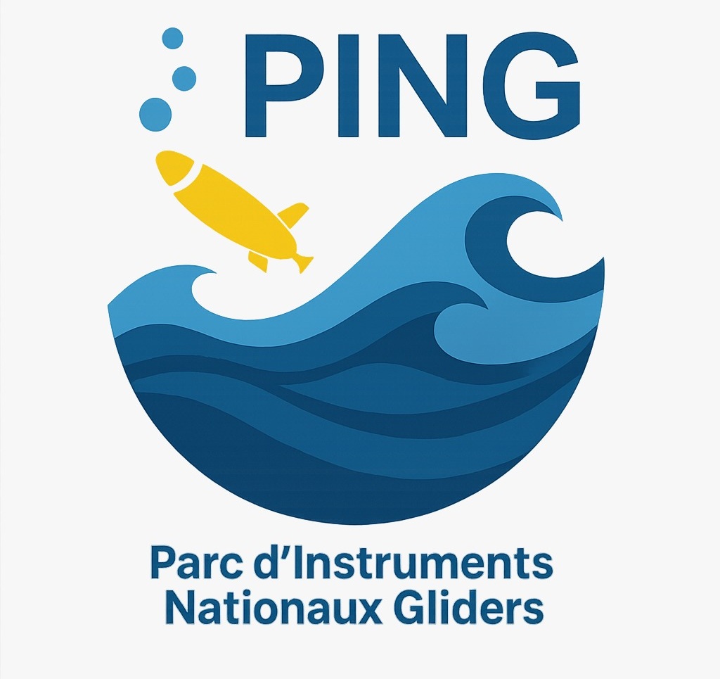 Logo PING