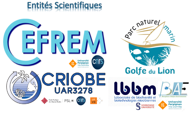 logos1