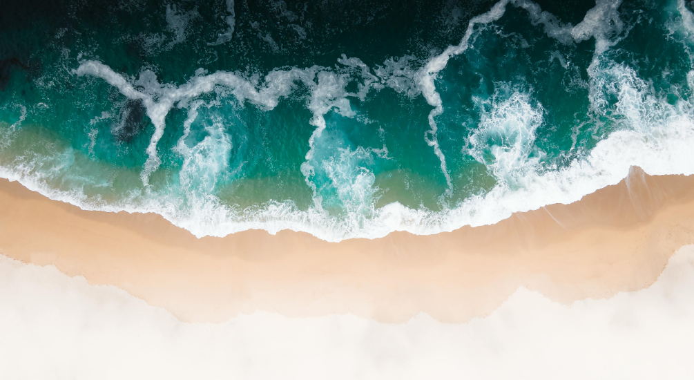 interface terre mer